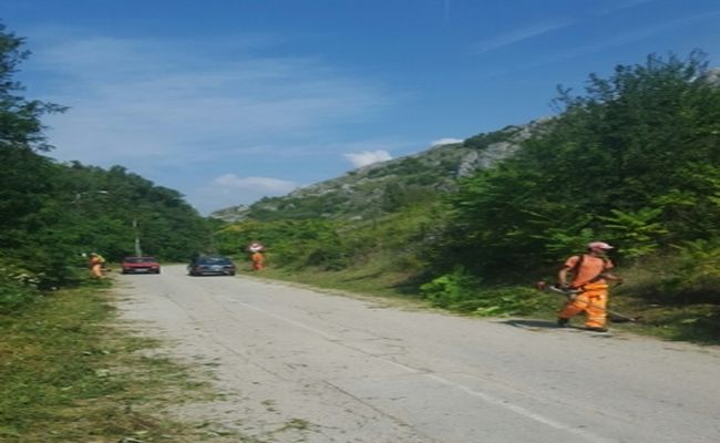 NIŠKA BANJA: Počelo čišćenje izletišta "Bojanine vode"