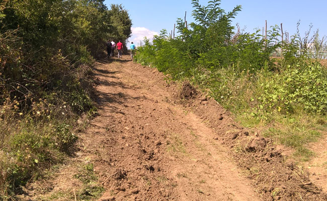 Popravka atarskih puteva u Bojničkoj opštini