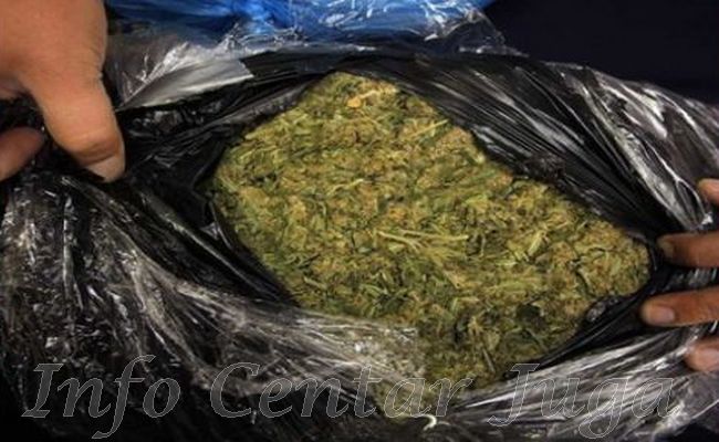 Zaplenjeno 46 kilograma marihuane