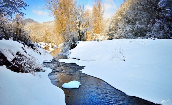 U Medveđi ukinuta vanredna situacija