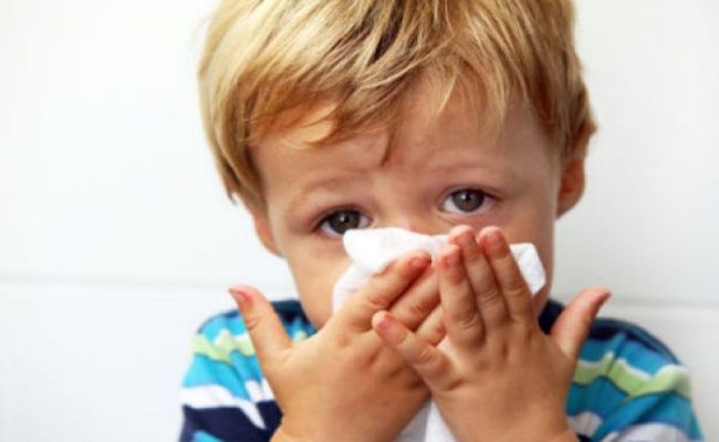 Epidemija gripa u Leskovcu, Medveđi, Lebanu, Bojniku i Vlasotincu