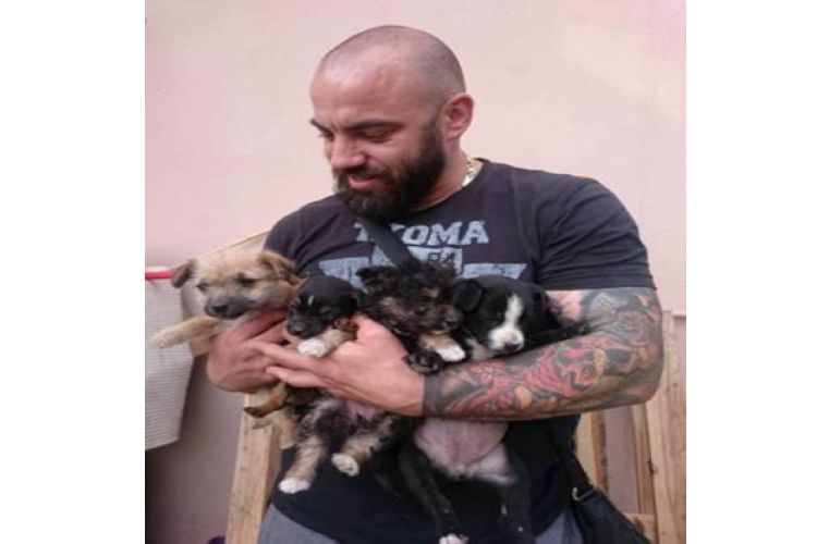 Ko se u Srbiji bori za životinje a ko za novac dobijen na račun njih