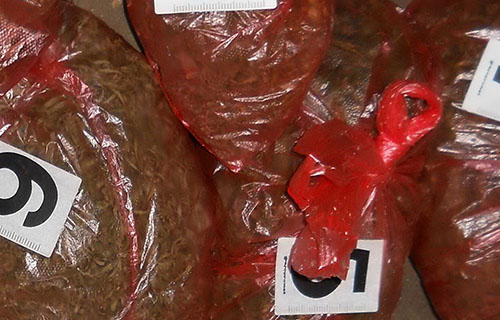 Pronađena dva paketića marihuane