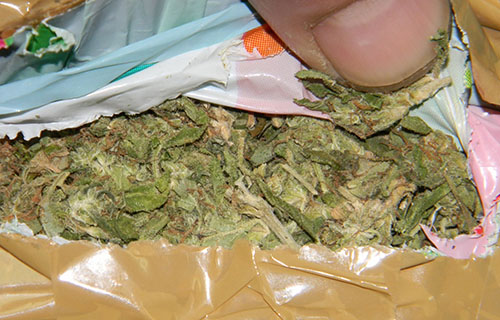 Leskovčanin uhapšen sa 55 grama marihuane