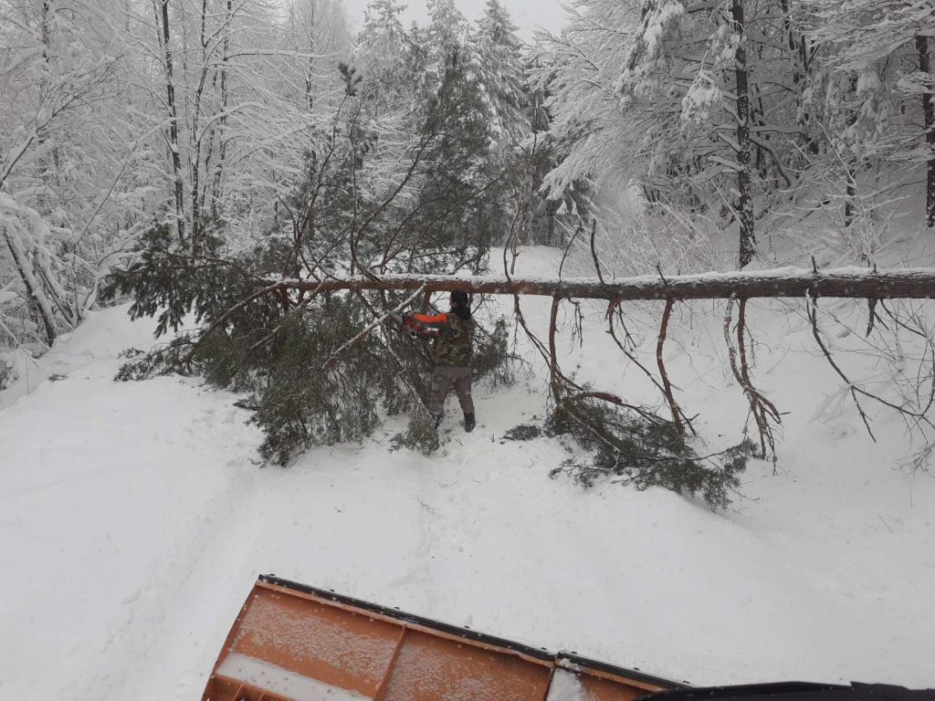 Putevi u brdsko-planinskom delu opštine Vlasotince za sada očišćeni i prohodni