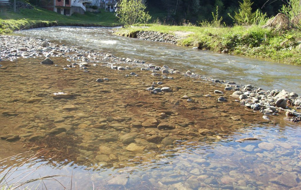 Reka Vlasina… omiljeno mesto za opuštanje u letnjim mesecima