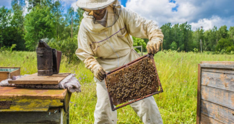 Podnošenje zahteva za podsticaje po košnici pčela za 2021. godinu
