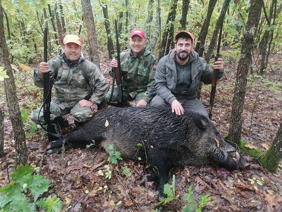 Lovci LU Jablanica iz Lebana ulovili dve divlje svinje, jedna 208 kilograma druga 107