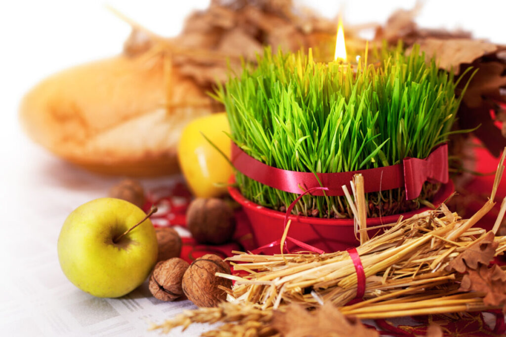 Danas slavimo Svetu Varvaru – Po narodnom verovanju danas treba zasaditi božićnu pšenicu
