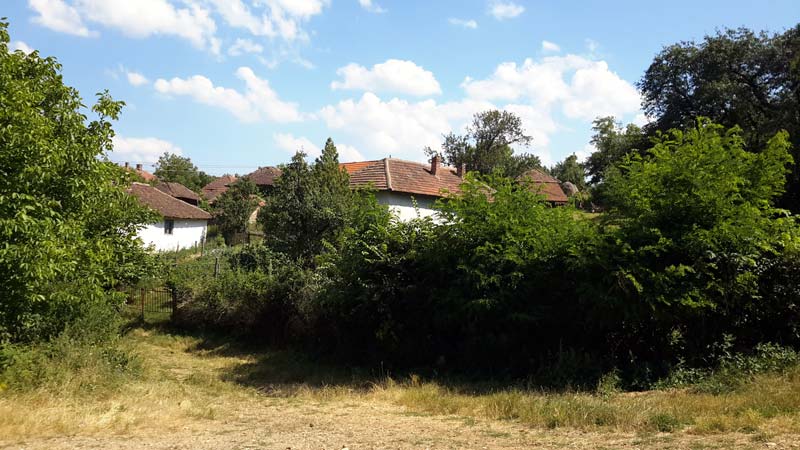 Duhovno i praktično “otvaranje očiju” na Vidovdan u crkvi Vidovdanki, u bojničkom selu Lozane