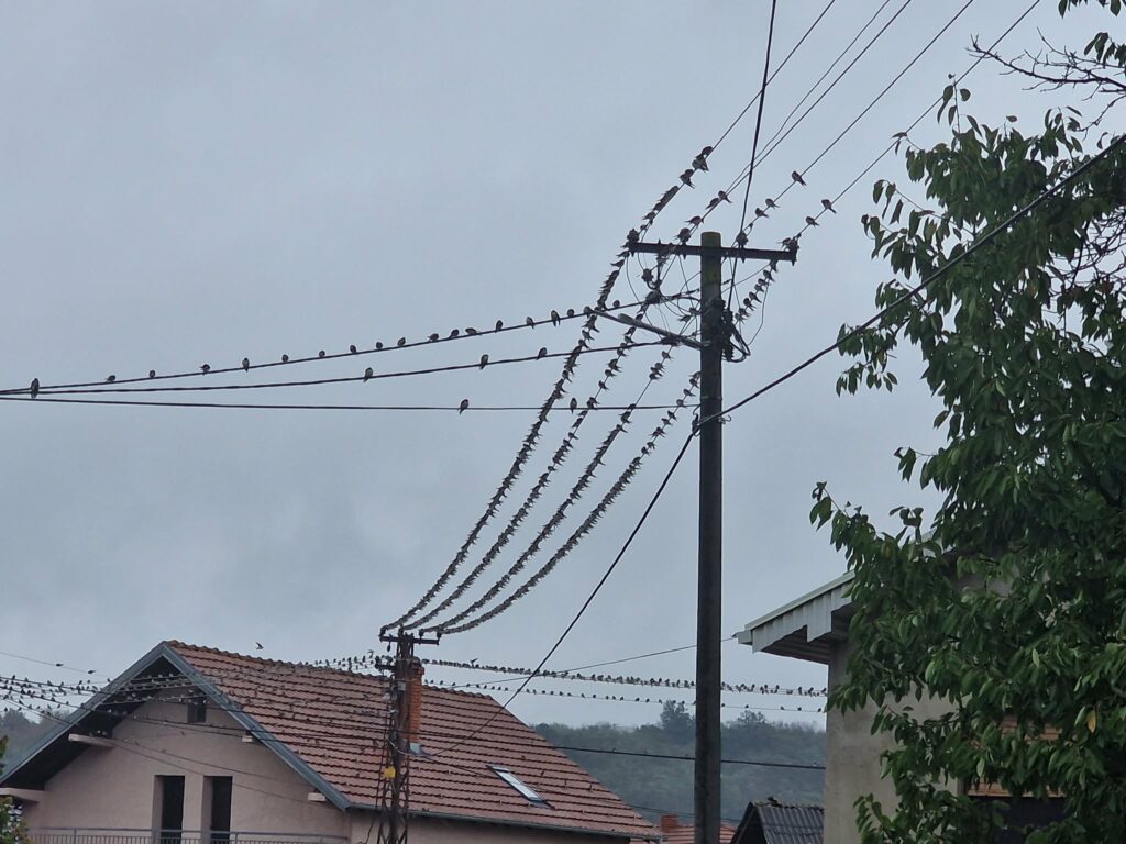 Velika Biljanica u petak bez struje zbog planiranih radova